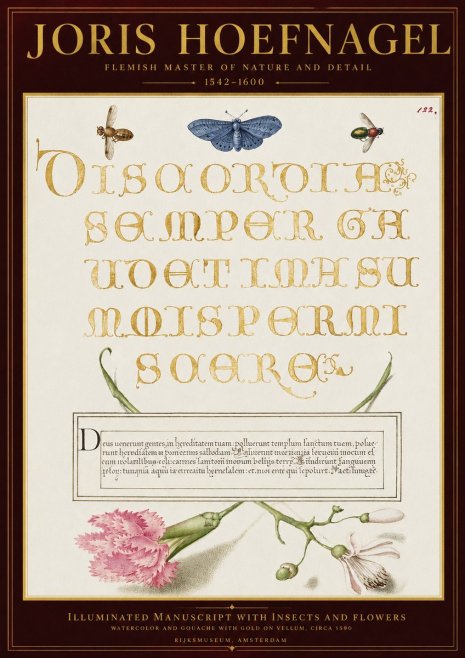 Joris Hoefnagel Laus Virtuti No6 - Poster