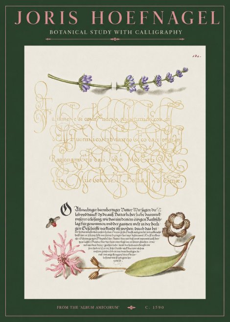 Joris Hoefnagel Botanical Study with Calligraphy IV No2 - Poster