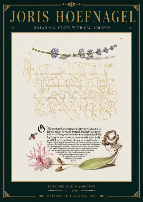Joris Hoefnagel Botanical Study with Calligraphy IV No4 - Poster