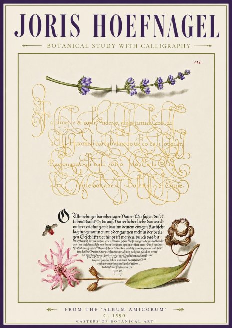 Joris Hoefnagel Botanical Study with Calligraphy IV No5 - Poster