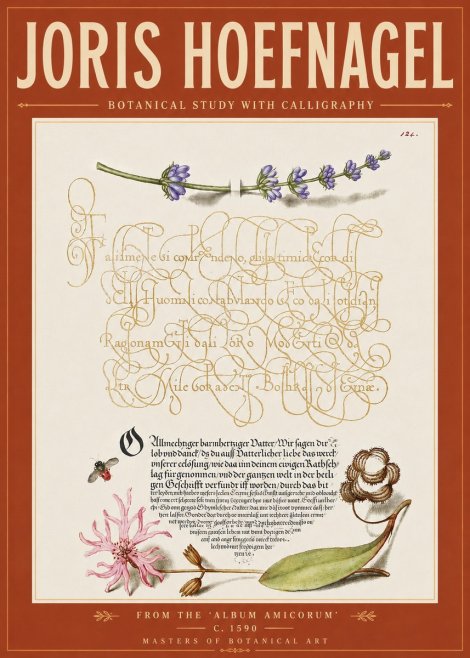 Joris Hoefnagel Botanical Study with Calligraphy IV No6 - Poster