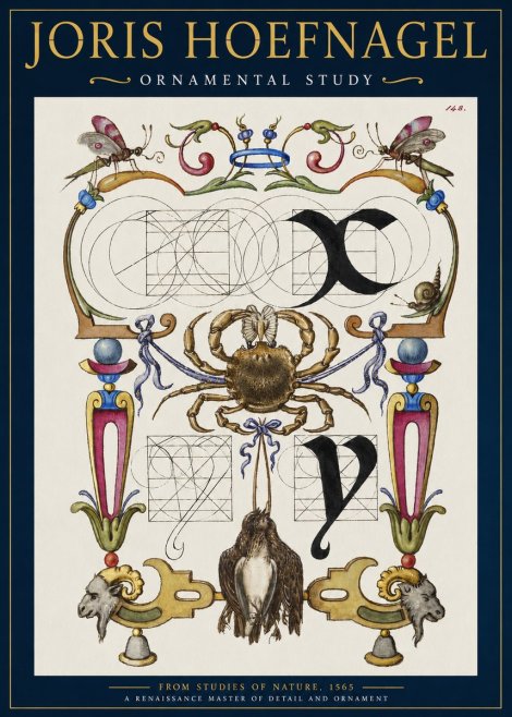 Joris Hoefnagel Ornamental Study II No2 - Poster