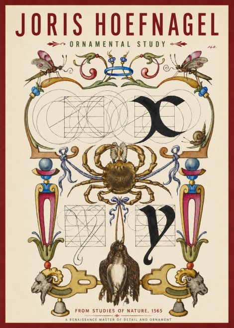 Joris Hoefnagel Ornamental Study II No3 - Poster