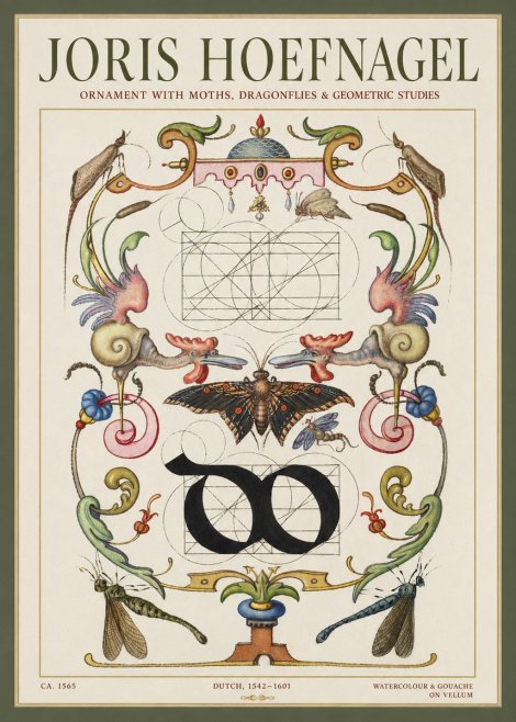 Joris Hoefnagel Ornament with Moths, Dragonflies & Geometric Studies No1 - Poster