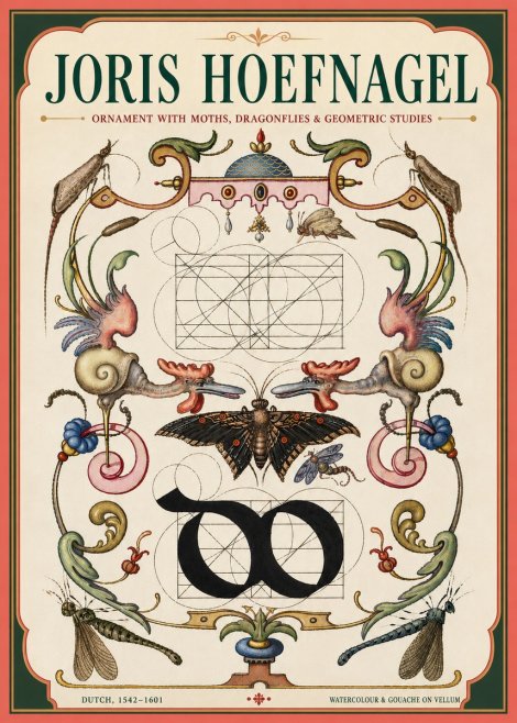 Joris Hoefnagel Ornament with Moths, Dragonflies & Geometric Studies No4 - Poster