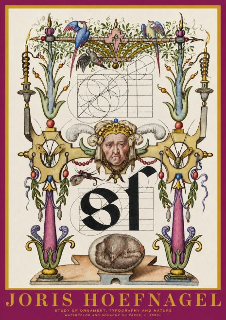 Joris Hoefnagel Mastery in Detail - Renaissance Ornament & Nature Studies No6 - Poster