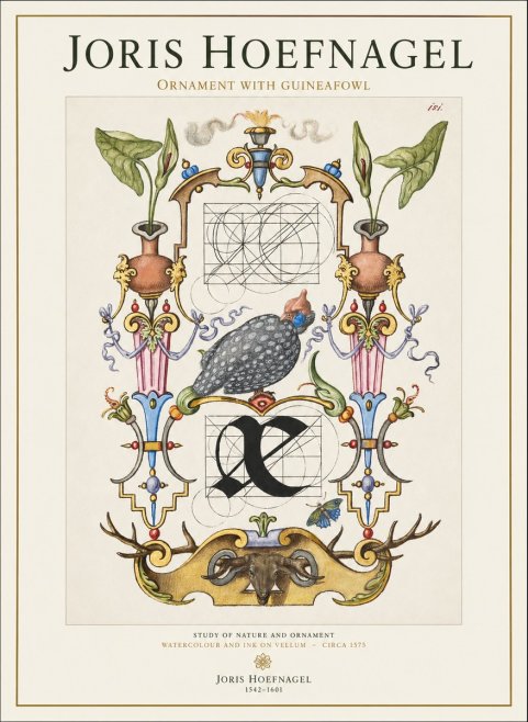 Joris Hoefnagel Ornament with Guineafowl No1 - Poster