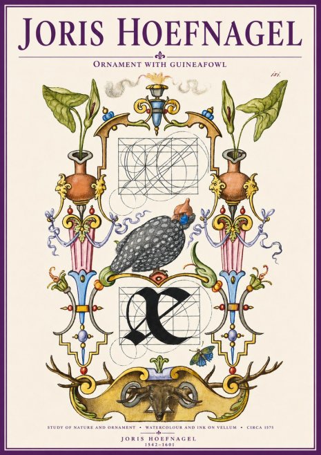 Joris Hoefnagel Ornament with Guineafowl No3 - Poster