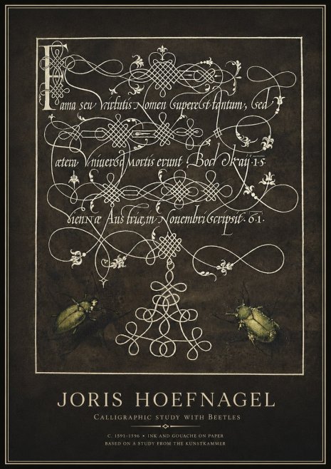 Joris Hoefnagel Calligraphic Study with Beetles No1 - Poster