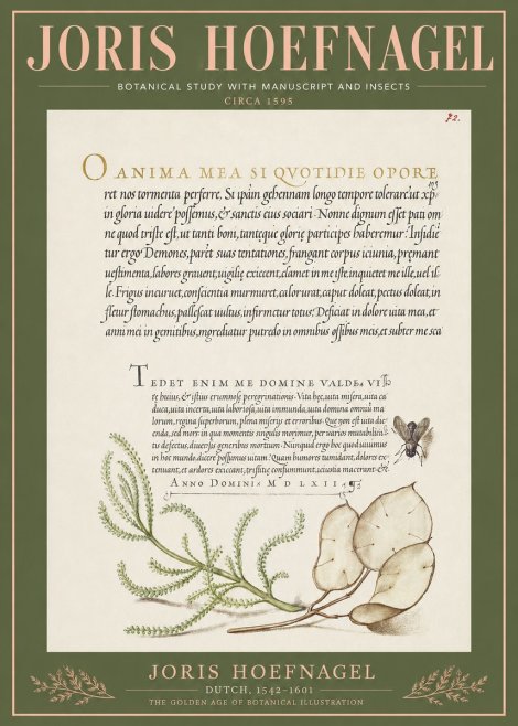 Joris Hoefnagel Botanical Study with Manuscript and Insects No3 - Poster