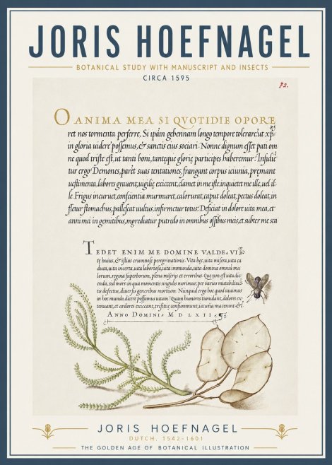 Joris Hoefnagel Botanical Study with Manuscript and Insects No5 - Poster