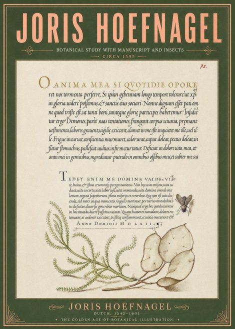 Joris Hoefnagel Botanical Study with Manuscript and Insects No6 - Poster