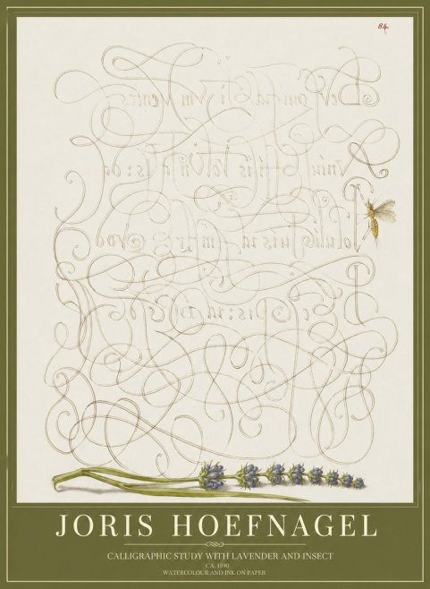 Joris Hoefnagel Calligraphic Study with Insect and Flower No5 - Poster