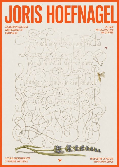 Joris Hoefnagel Calligraphic Study with Insect and Flower No6 - Poster