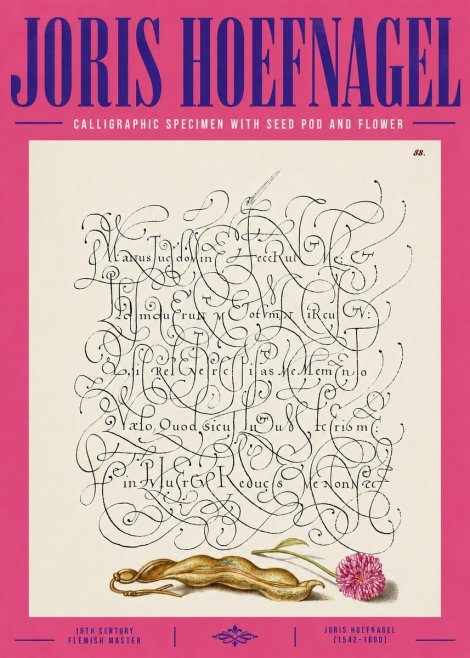 Joris Hoefnagel Calligraphic Specimen with Seed Pod and Flower No4 - Poster