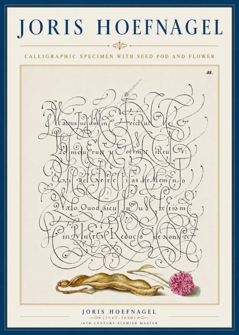 Joris Hoefnagel Calligraphic Specimen with Seed Pod and Flower No5 - Poster