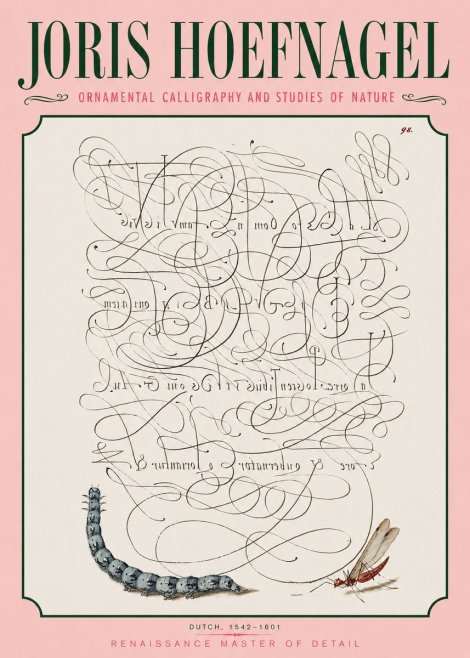 Joris Hoefnagel Ornamental Calligraphy and Studies of Nature No3 - Poster