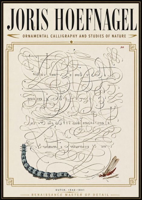 Joris Hoefnagel Ornamental Calligraphy and Studies of Nature No6 - Poster