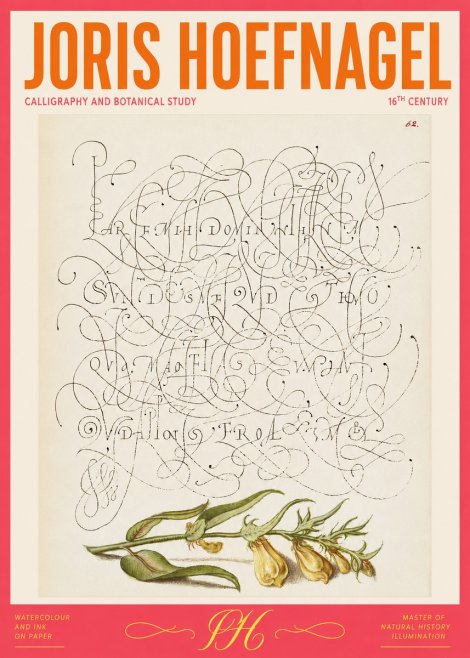 Joris Hoefnagel Calligraphic Practice with Botanical Study No2 - Poster