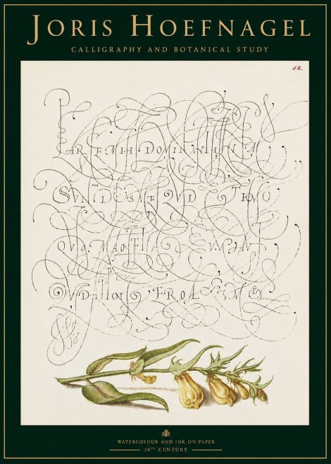 Joris Hoefnagel Calligraphic Practice with Botanical Study No3 - Poster