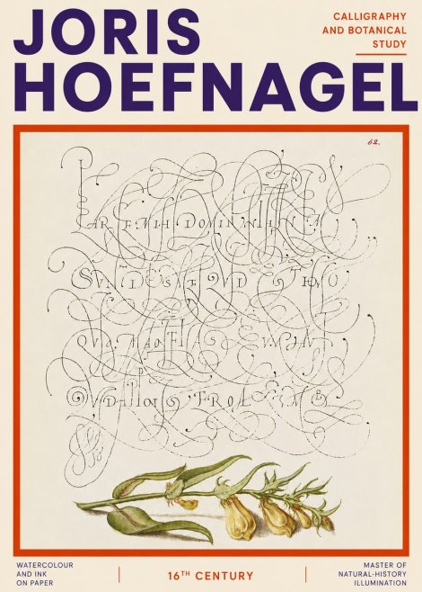 Joris Hoefnagel Calligraphic Practice with Botanical Study No4 - Poster