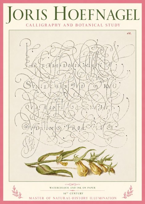 Joris Hoefnagel Calligraphic Practice with Botanical Study No5 - Poster