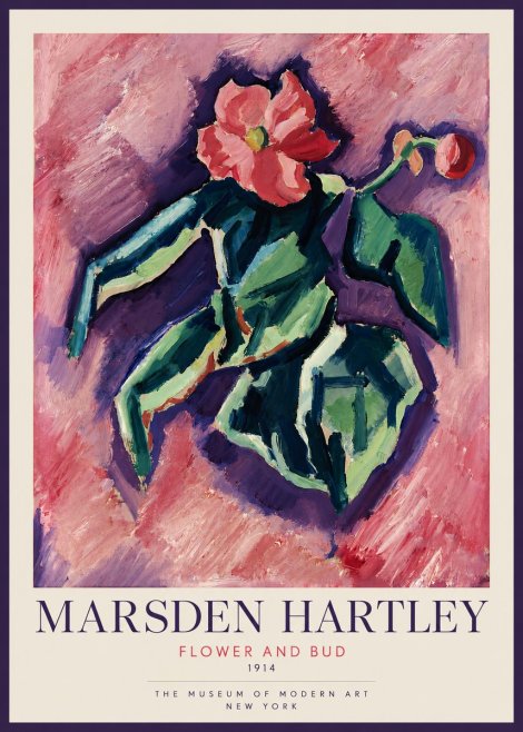 Marsden Hartley Flower and Bud No2 - Poster
