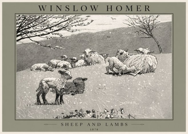 Winslow Homer Sheep and Lambs No2 - Poster