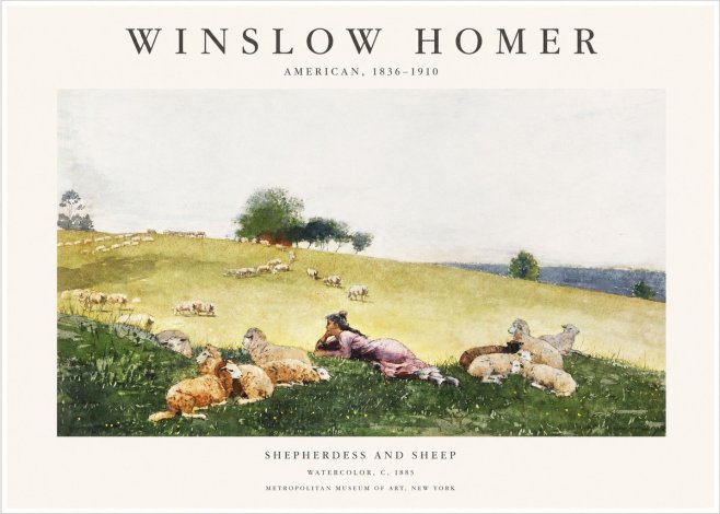 Winslow Homer Shepherdess and Sheep No1 - Poster