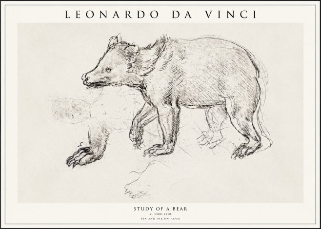 Leonardo da Vinci Study of a Bear No1 - Poster