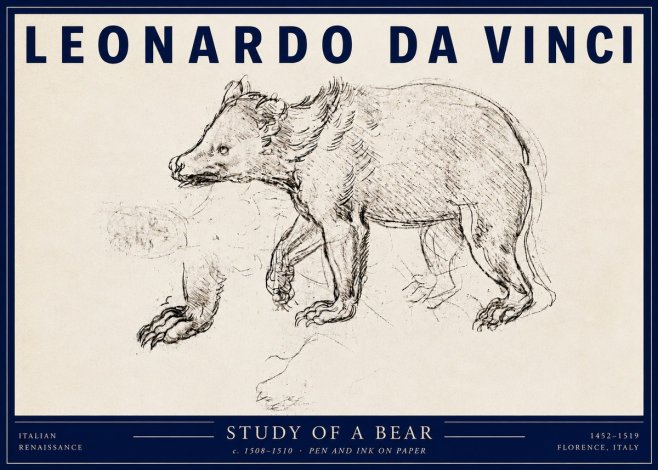 Leonardo da Vinci Study of a Bear No3 - Poster