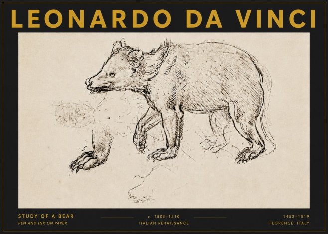 Leonardo da Vinci Study of a Bear No5 - Poster