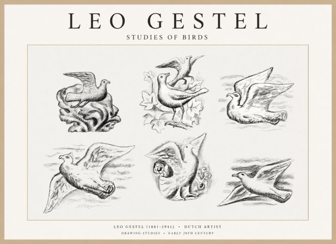 Leo Gestel Studies of Birds No1 - Poster