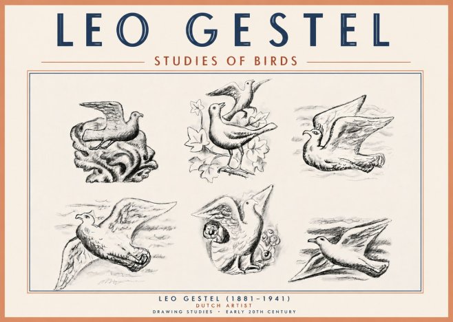 Leo Gestel Studies of Birds No6 - Poster