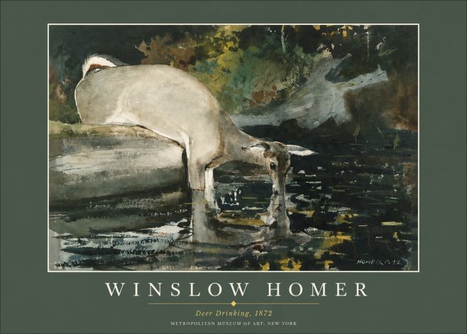 Winslow Homer Deer Drinking No2 - Poster