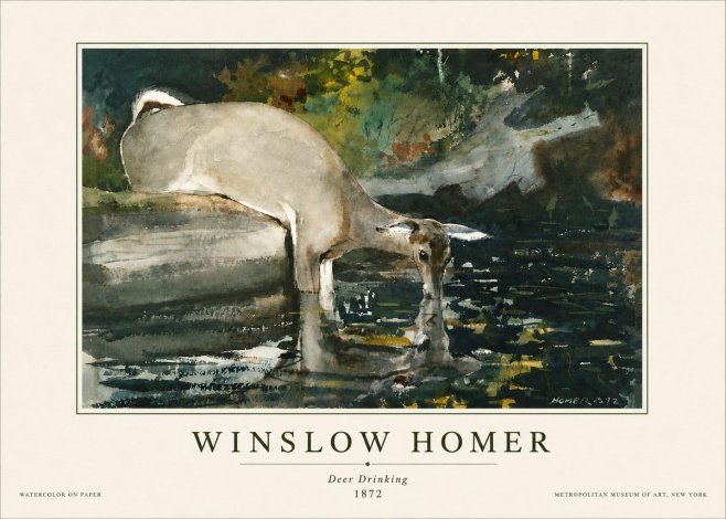 Winslow Homer Deer Drinking No5 - Poster