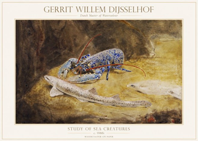 Gerrit Willem Dijsselhof Study of Sea Creatures No1 - Poster