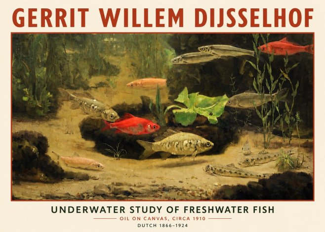 Gerrit Willem Dijsselhof Underwater Study of Freshwater Fish No3 - Poster