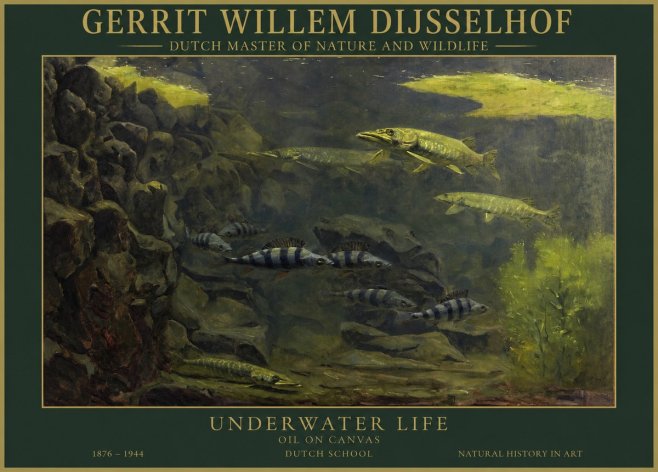 Gerrit Willem Dijsselhof Underwater Life No1 - Poster
