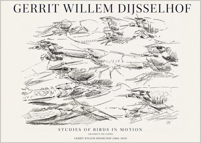 Gerrit Willem Dijsselhof Studies of Birds in Motion No1 - Poster