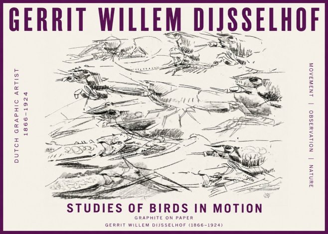Gerrit Willem Dijsselhof Studies of Birds in Motion No5 - Poster