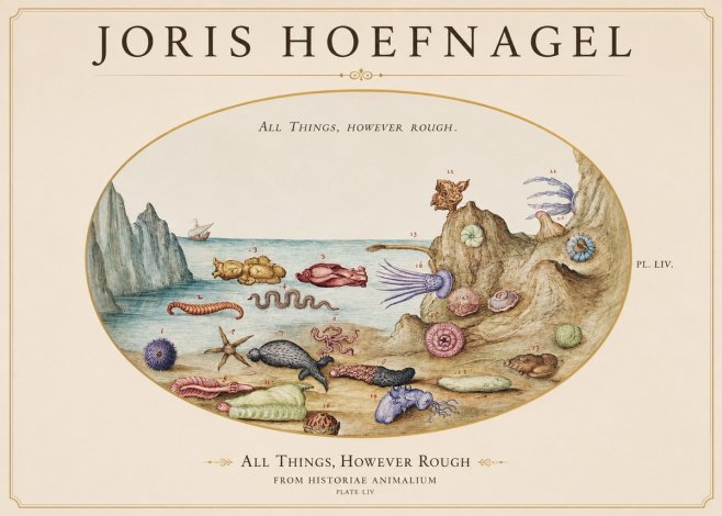 Joris Hoefnagel Totvs Echinvs Asper. Plate Liv No2 - Poster