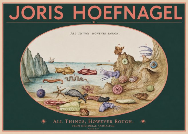 Joris Hoefnagel Totvs Echinvs Asper. Plate Liv No3 - Poster