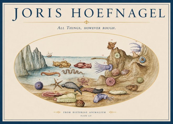Joris Hoefnagel Totvs Echinvs Asper. Plate Liv No4 - Poster