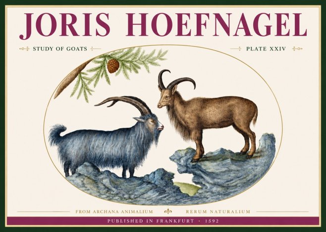 Joris Hoefnagel Two Mountain Goats from the Series Quadrupeds No4 - Poster