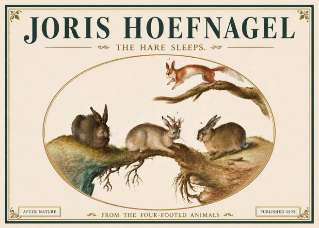 Joris Hoefnagel Lepvs Dormit No6 - Poster