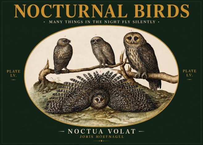 Joris Hoefnagel Noctva Volat No3 - Poster