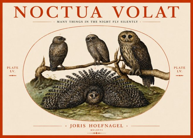 Joris Hoefnagel Noctva Volat No4 - Poster