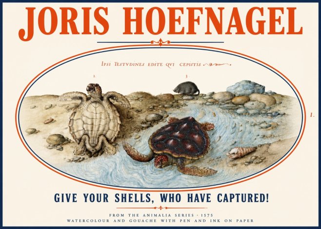 Joris Hoefnagel Two Turtles in a Stream No4 - Poster