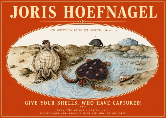 Joris Hoefnagel Two Turtles in a Stream No6 - Poster